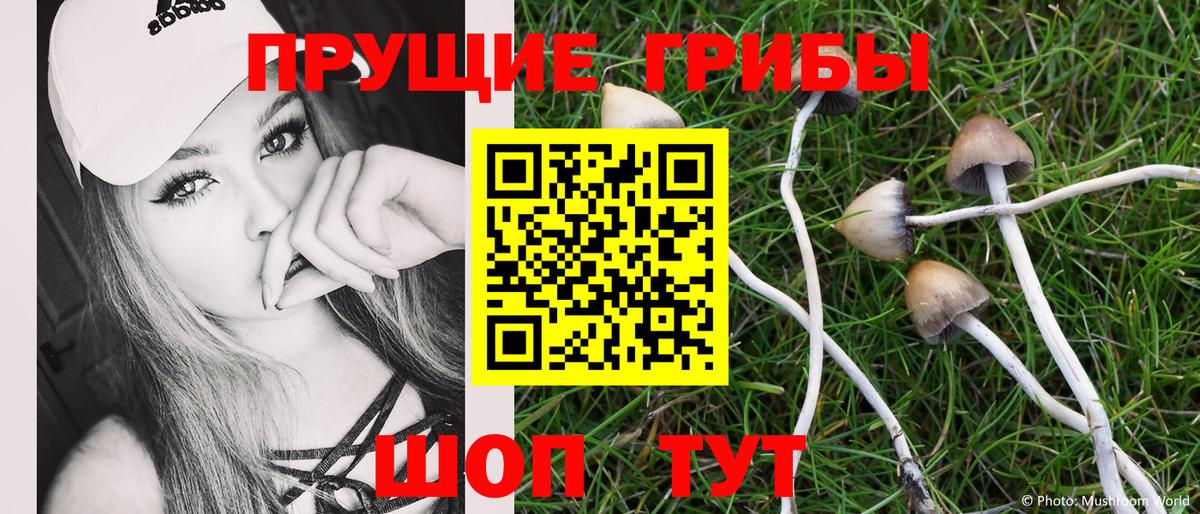 Галлюциногенные грибы мицелий  Вход с VPN  Галлюциногенные грибы ЛСД  Добрянка 
